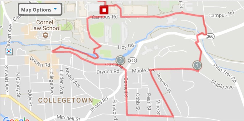 Jogging Tours - Cascadilla