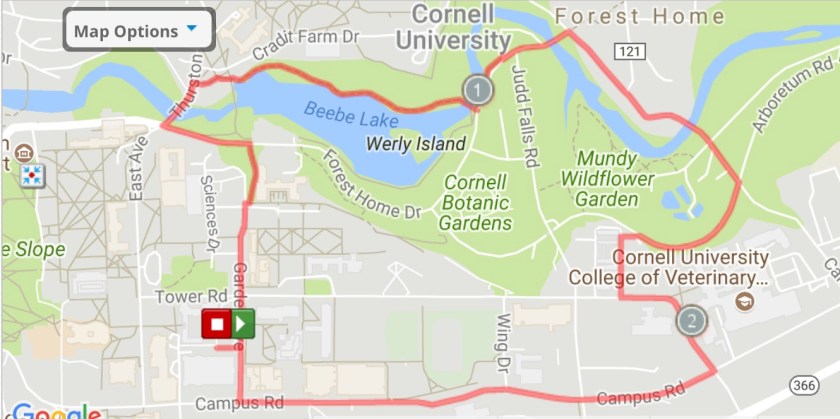 Jogging Tours - Five Bridges