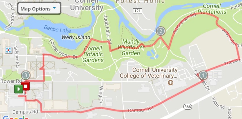 Jogging Tours - Old Water Tower