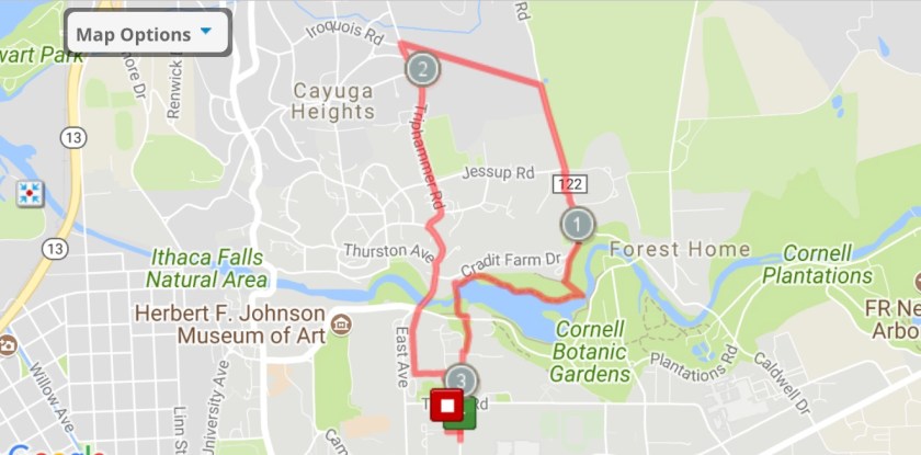 Jogging Tours - Palmer Woods