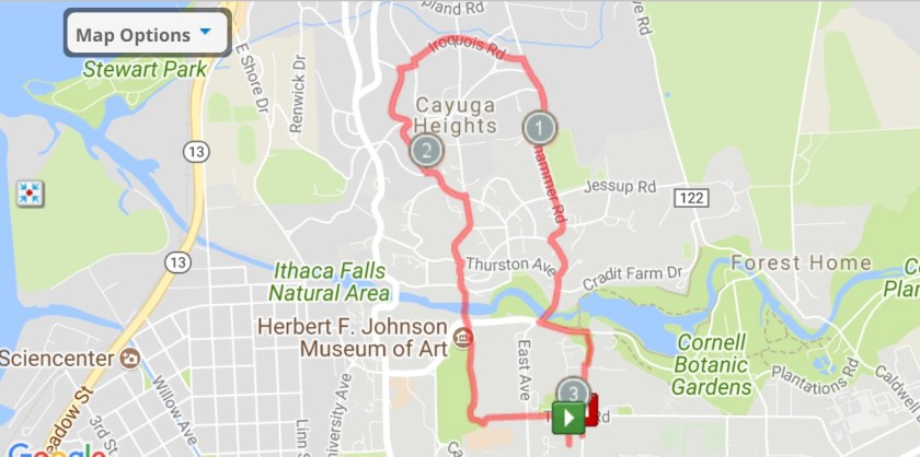 Jogging Tours - Two Bridges-and-CH