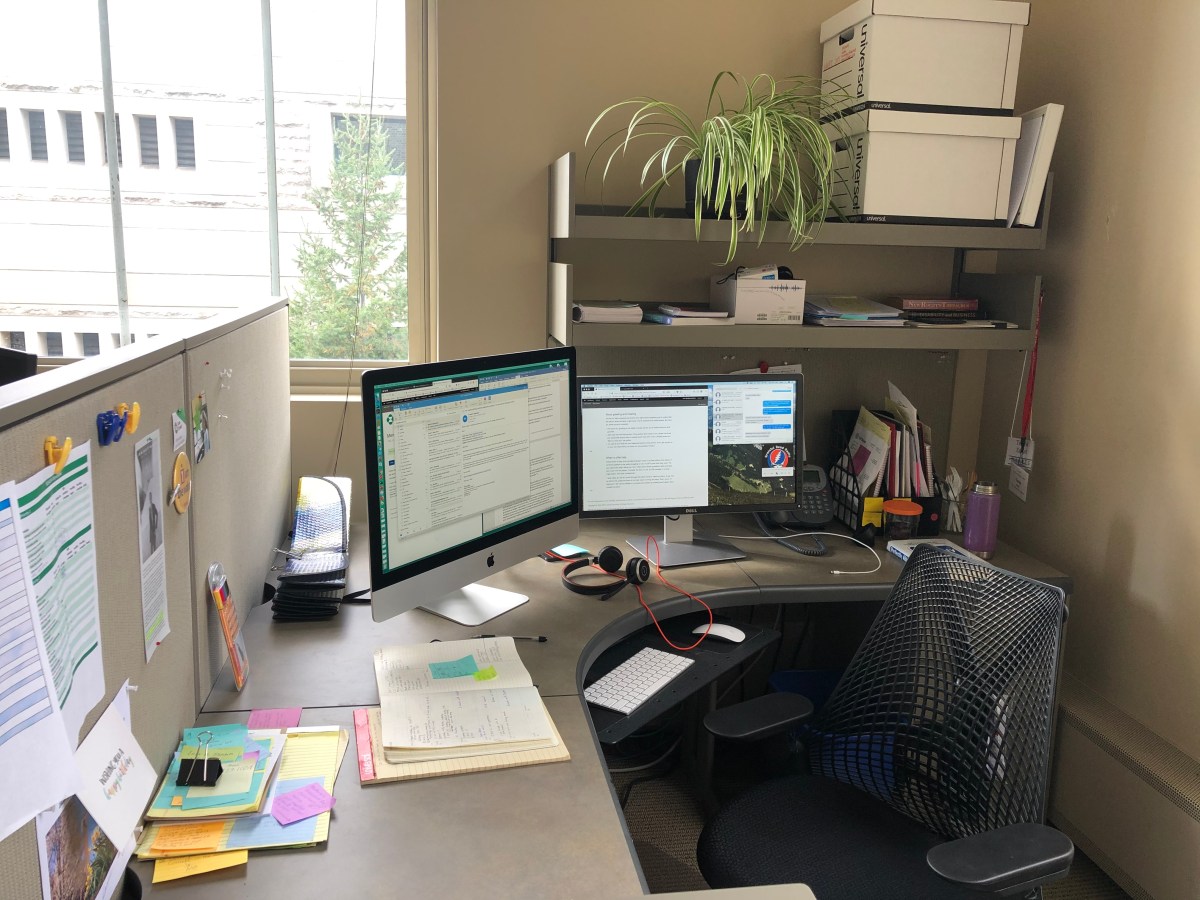 The Zig in My&nbsp;Zag